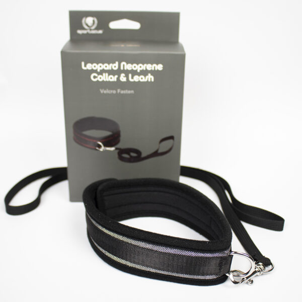 Collar And Leash Neoprene Silver
